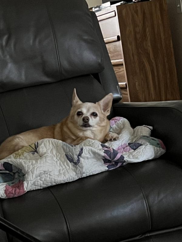 Queen of the house. 😁