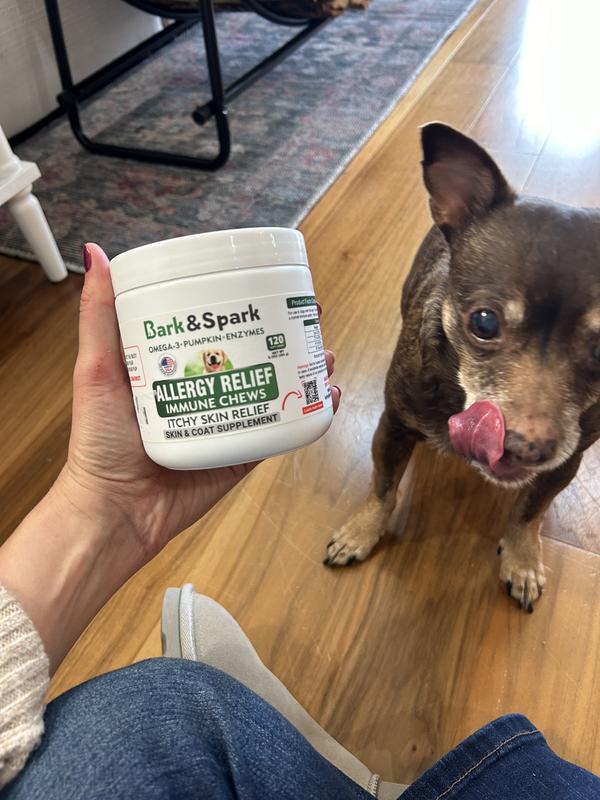 Chihuahua allergy outlet medicine