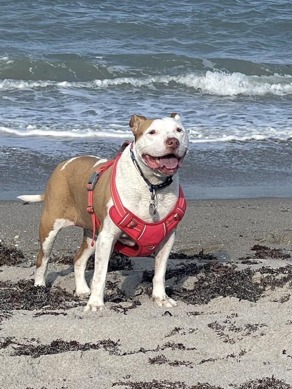 Happy girl!