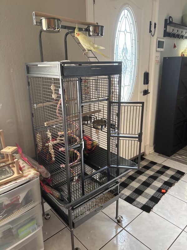 LOVE LOVE LOVE the space and how happy my bird is
