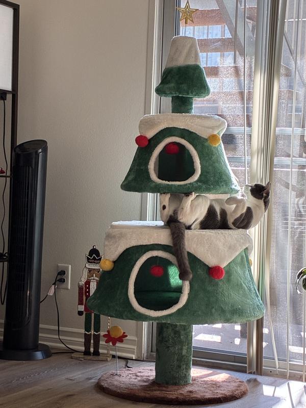 Every inch is a play area