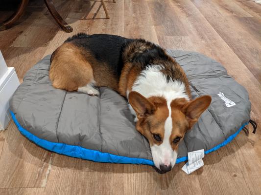 CHUCKIT Travel Pillow Dog Bed Chewy