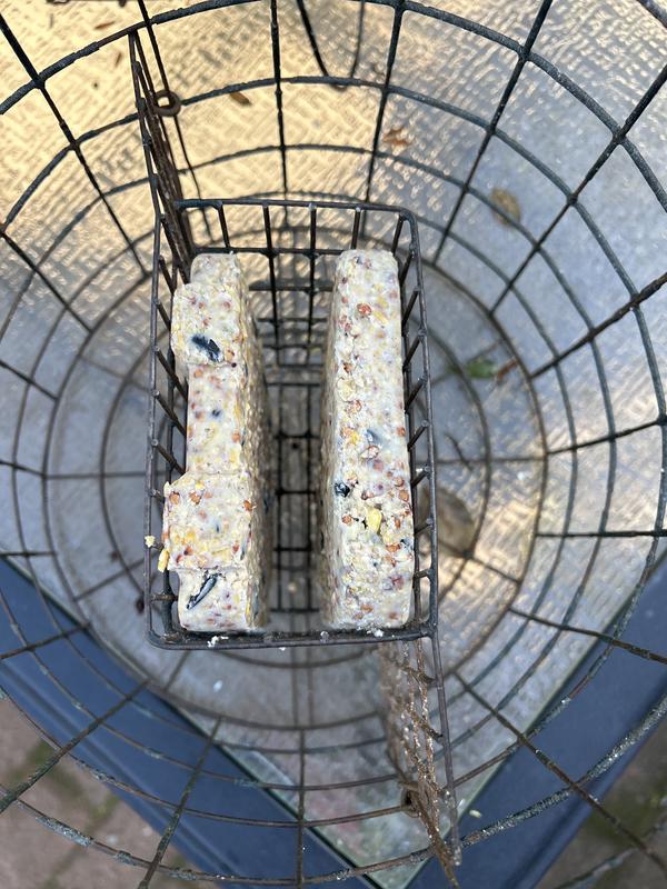 2 suet cakes used to fill this.  I can now get in 3. 🤨