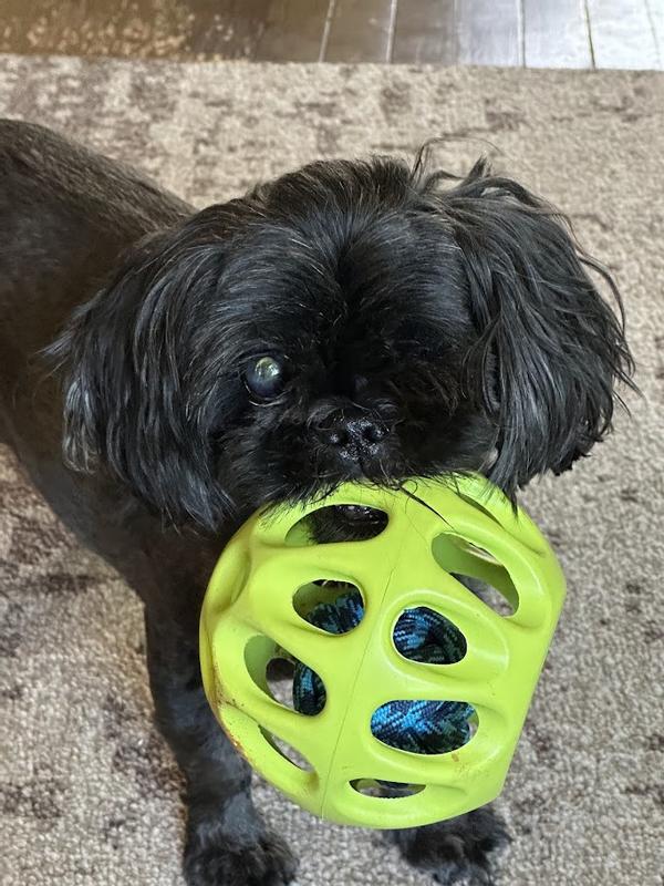 Look Mommy, I can carry it!