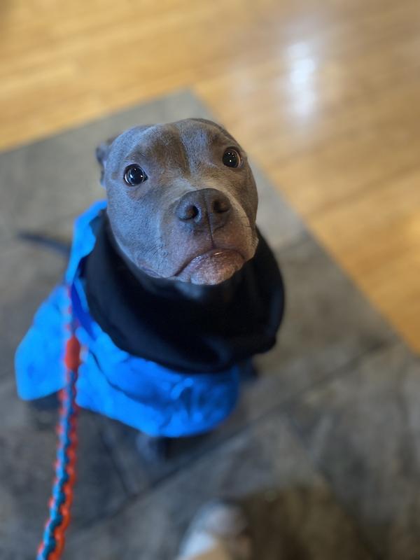 The cutest lil model