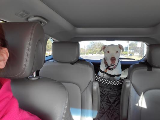 Black and white material is what I added.