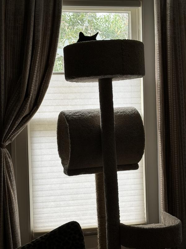 A queen and her tower