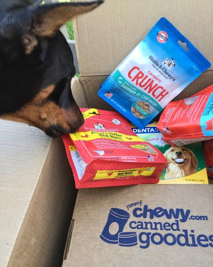 What goodies came in my Chewy box today?