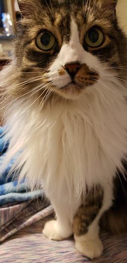 Must I REALLY pose for photos?