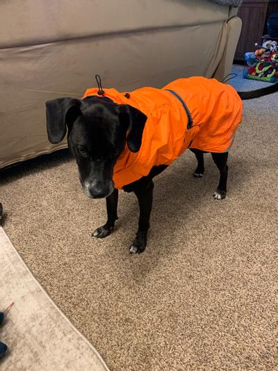 Discontinued HURTTA Summit Insulated Dog Parka Orange 24 in Chewy