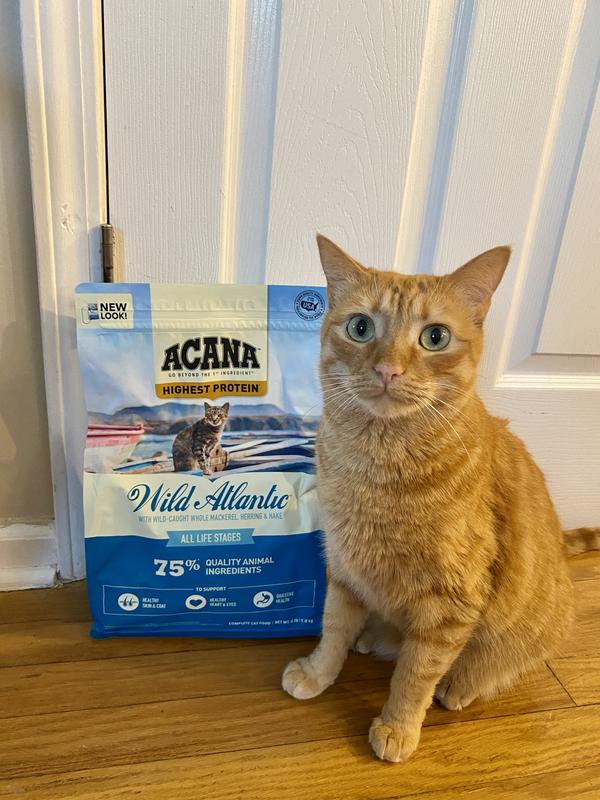 Acana regionals wild outlet atlantic dry cat food