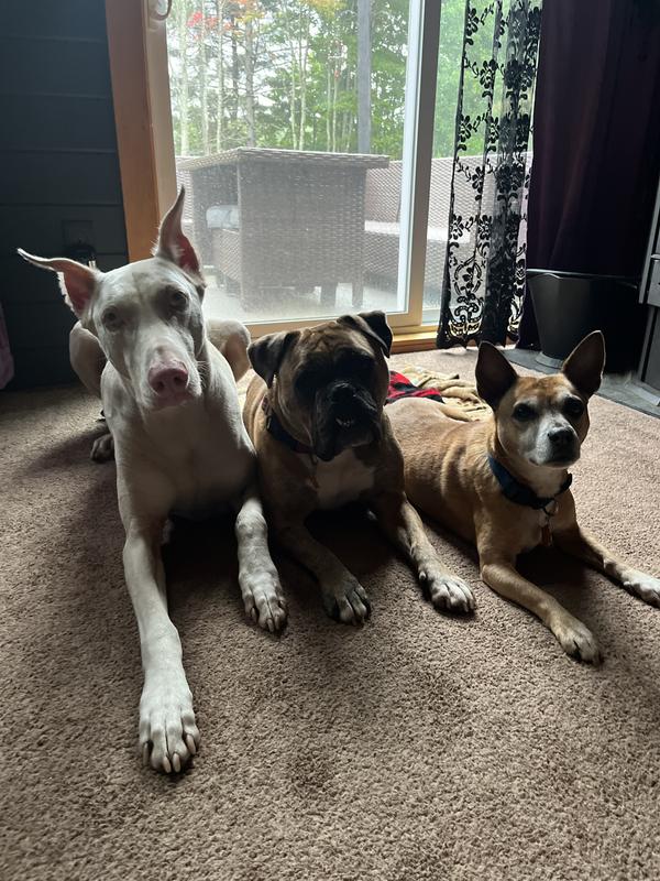 Voodoo, Cosmo, Tito