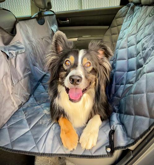 FRISCO Quilted Water Resistant Hammock Car Seat Cover reviews