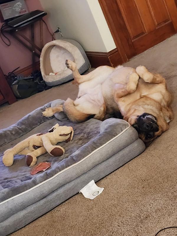 lucy says I am happy now