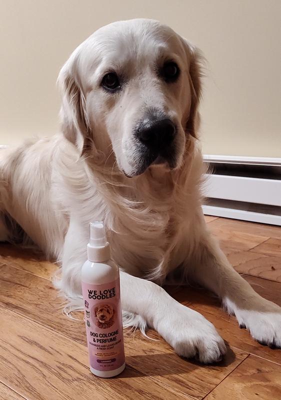 Works for dry and wet hair