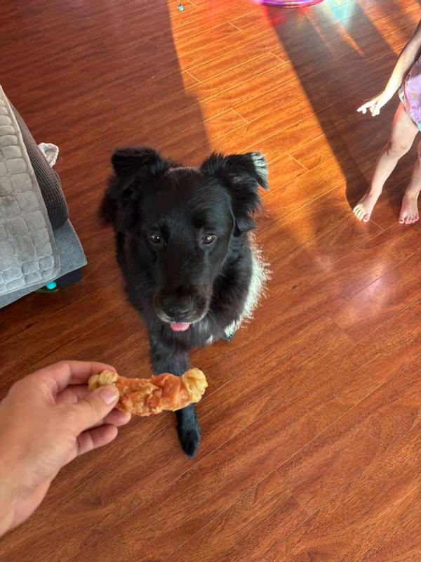 Definitely enjoying the treat!