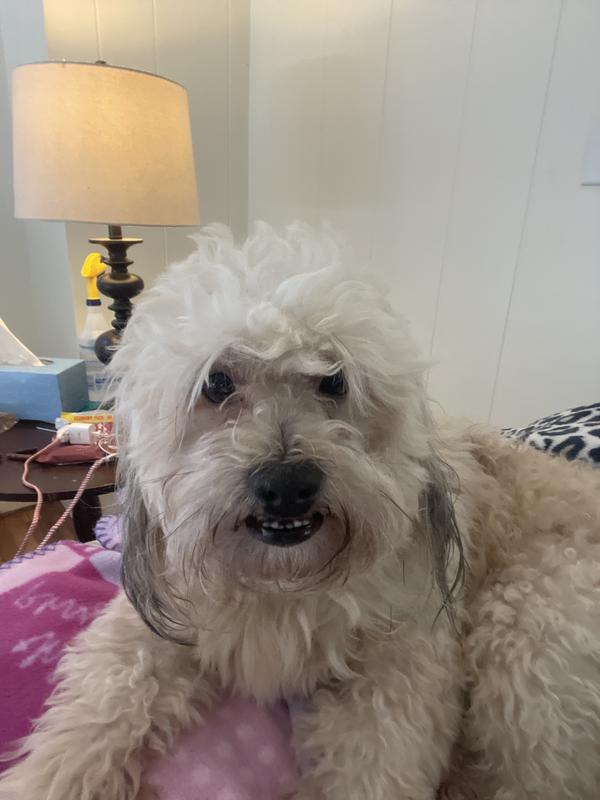 Works like a charm and quickly