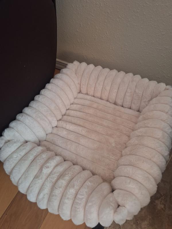 COMFORTABLE!