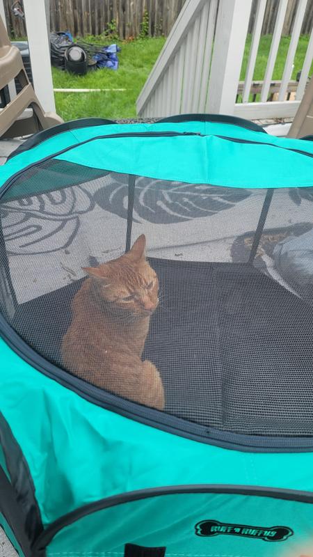 Don't have to worry about him escaping