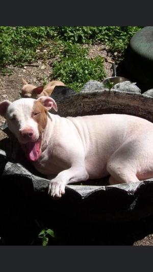 My Lady missing her so much