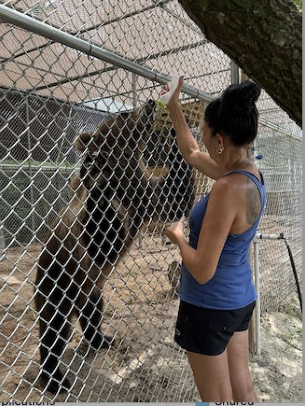 Naja, Kodiak bear, enjoying a bottle full of Zoologic Milk Matrix!