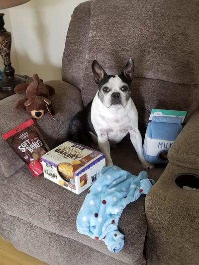 A care package from Chewy when his cancer returned