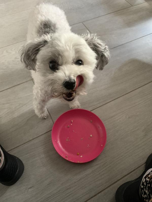 She ate all her food. Her tongue tell you how much she likes it.