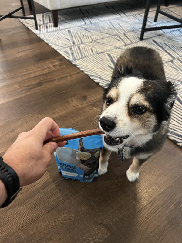 Good boy= good treats