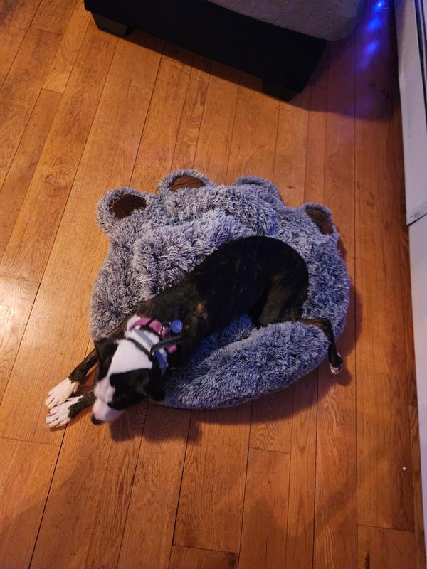 The toes won't stay up