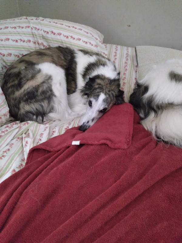 Always watching where mom is...lol