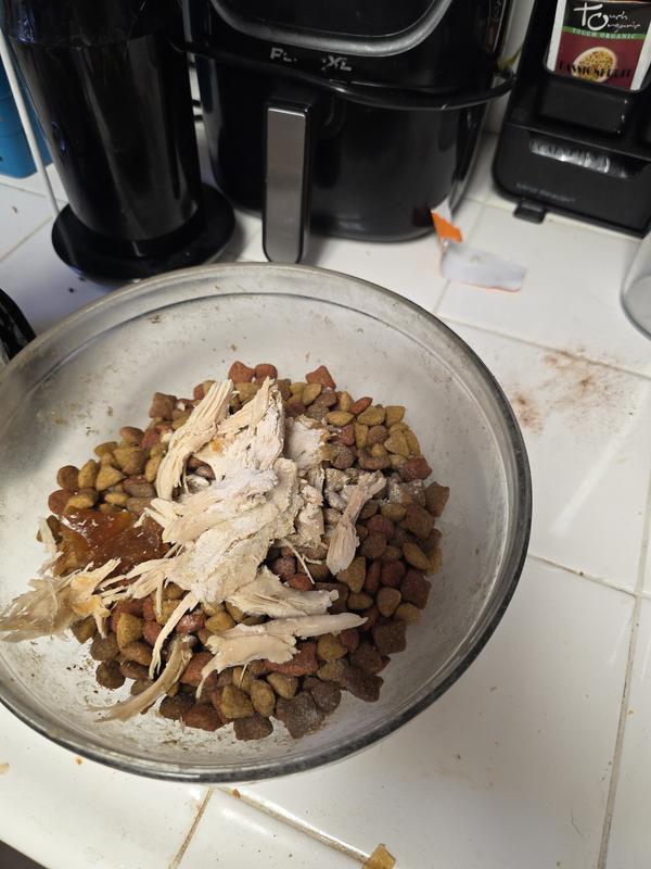 Here's it on top of her food and Chicken