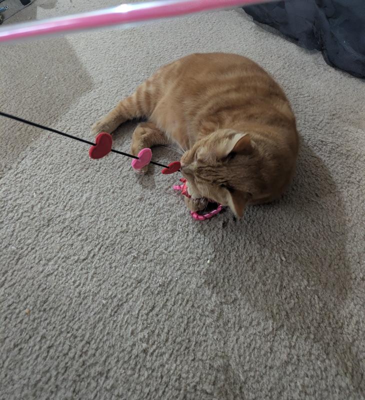 Two cuties being fierce