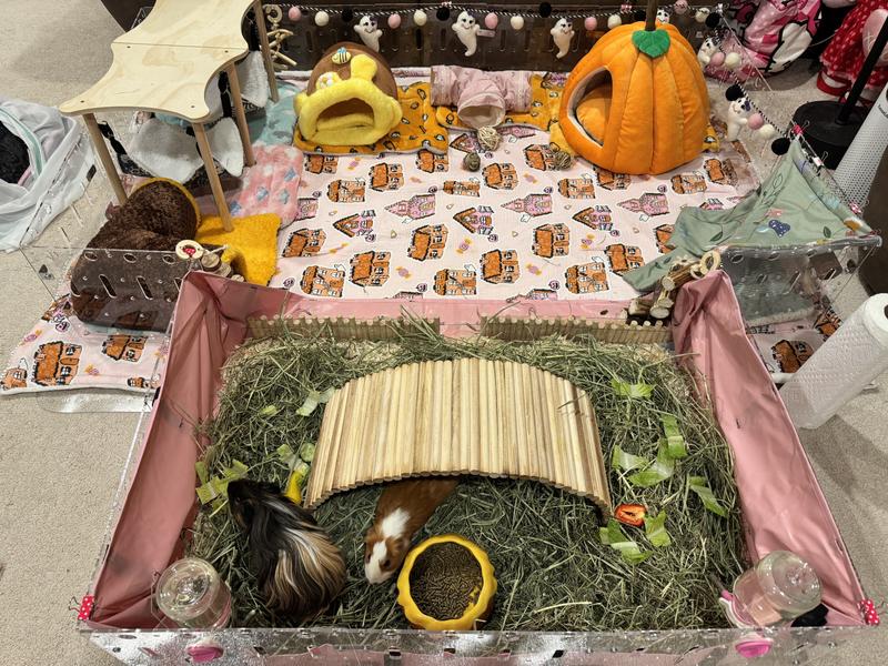 Nice easy cleanup afterwards