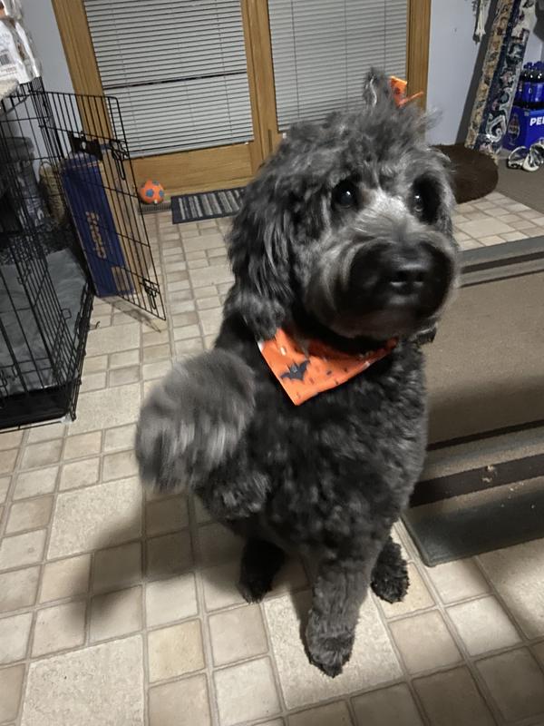 Stella said Thank You!