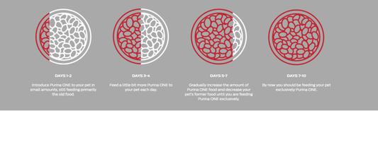 Food Transition Guide