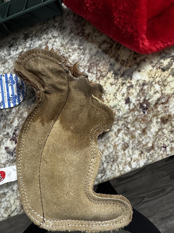 Got very lucky we grabbed it when we did.