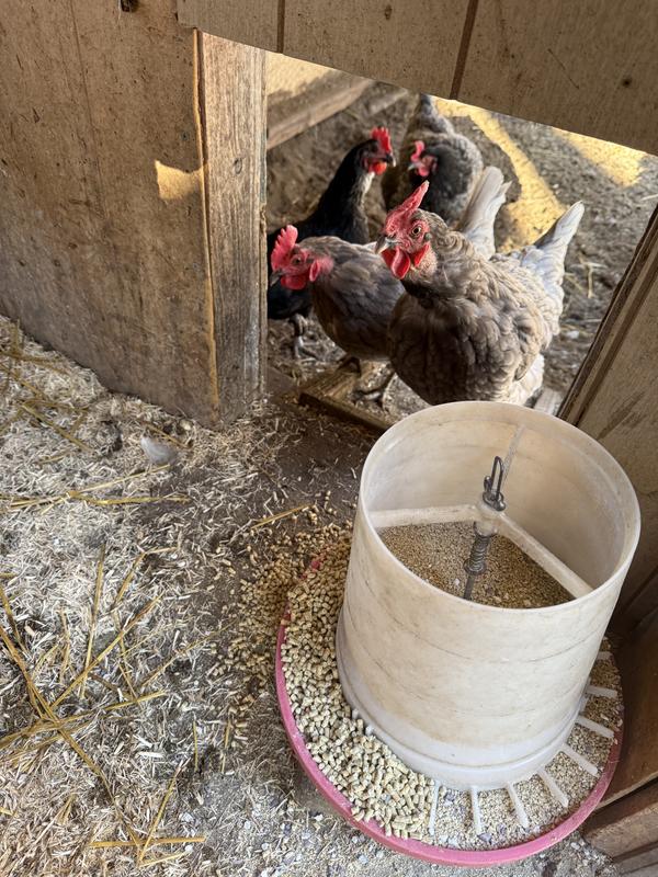 Checking out the new feed