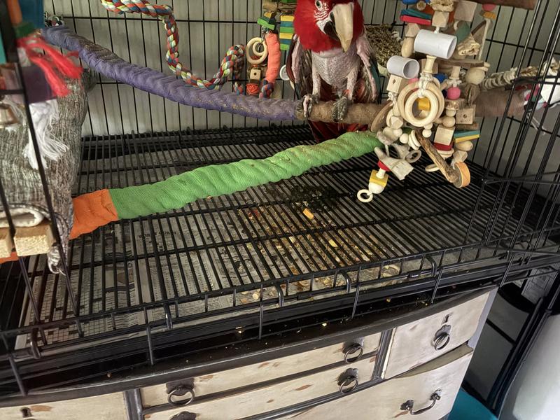 It’s the floor grate for my modified dog crate turned parrot cage