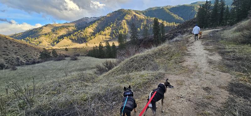 Looking for the perfect adventure coat, and this one falls short