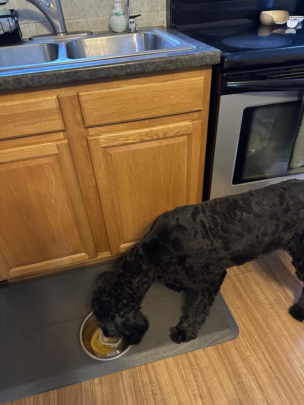 She cleaned her bowl and the container completely clean!