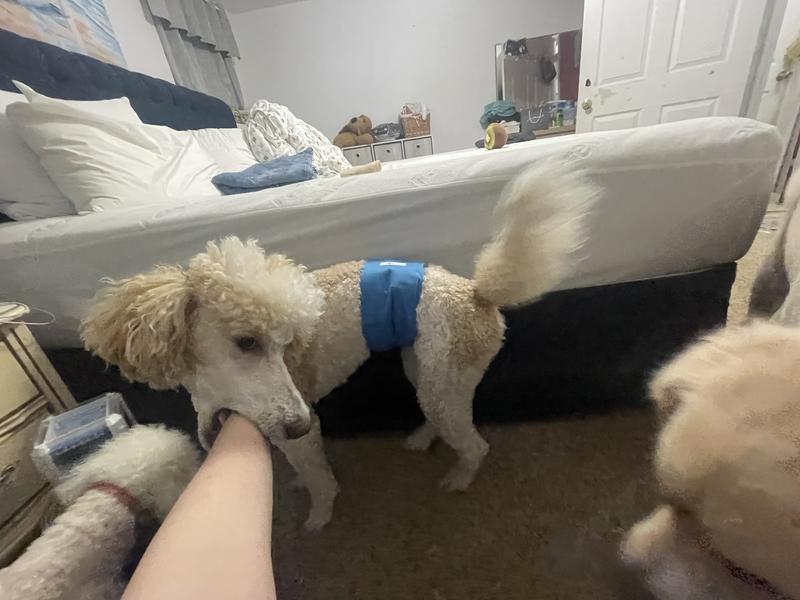 He loves to lead me around by taking my arm