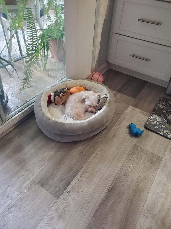 Barrett, 6 pounds of fun!