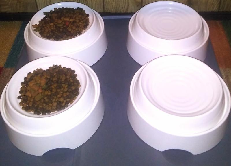 CATGURU Dog & Cat Food Bowls, 2 count