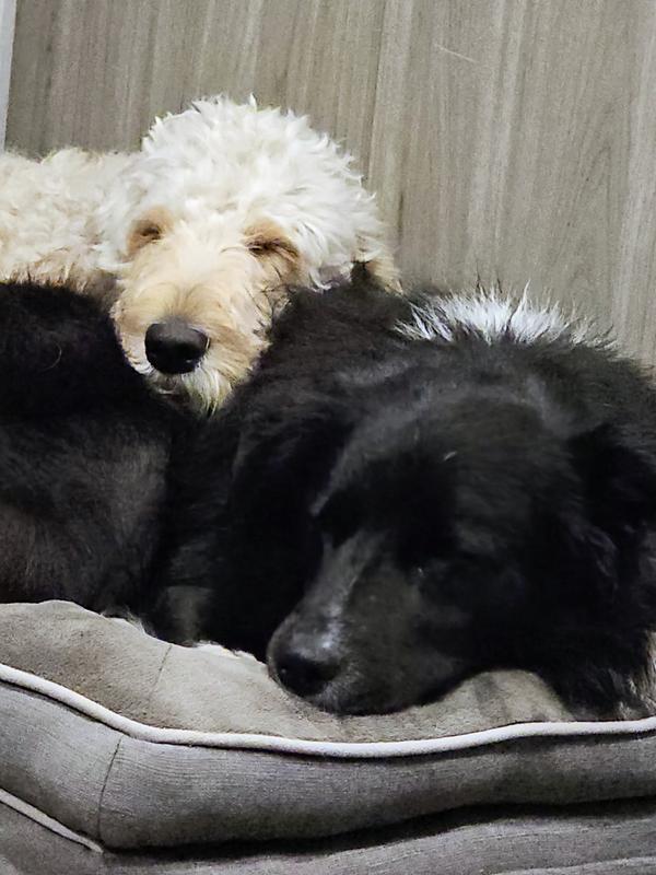 Relaxing after snacks