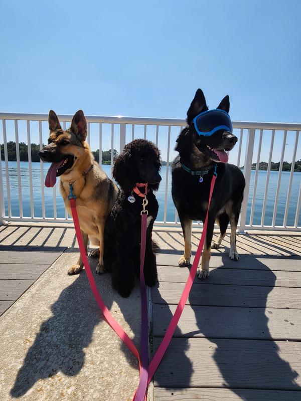 REDBARN Naturals Beef Recipe Dog Food Roll, 4lb roll