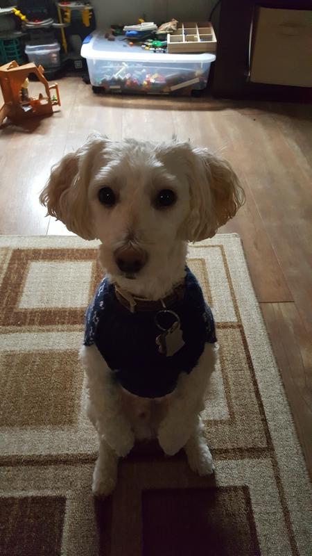 Begging for his portion!