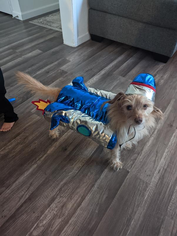 rocket halloween costume