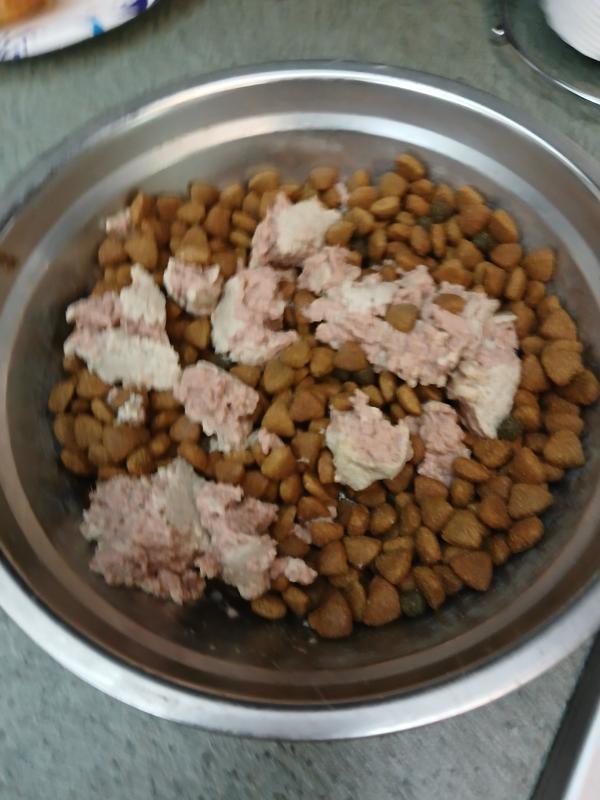 I followed the instructions, of introducing the turkey slowly with her regular food, to not cause any digestive issues.  As you can see, she loves the turkey patties