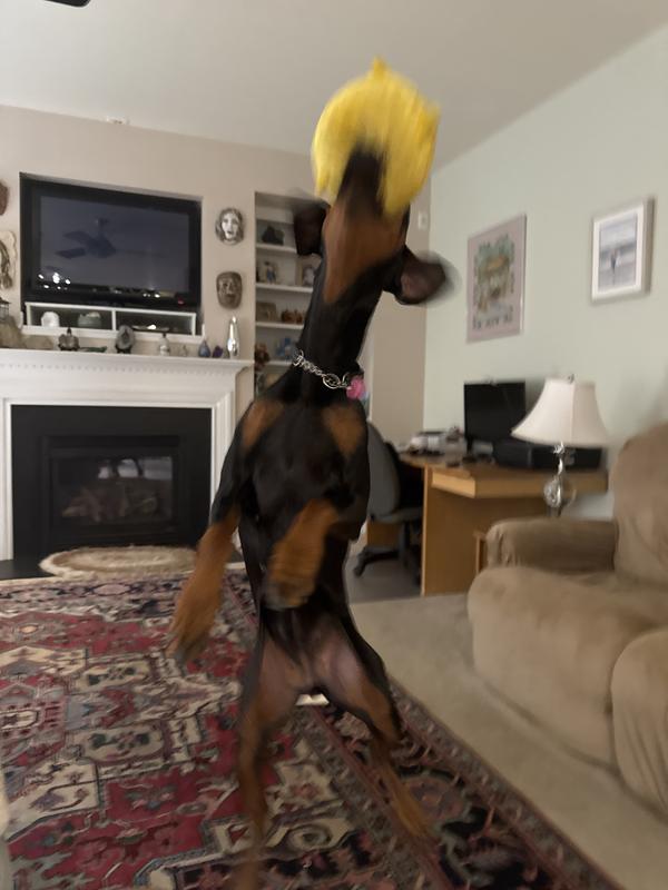 She loves the squish factor!