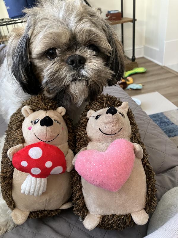 Passes the picky eater test!